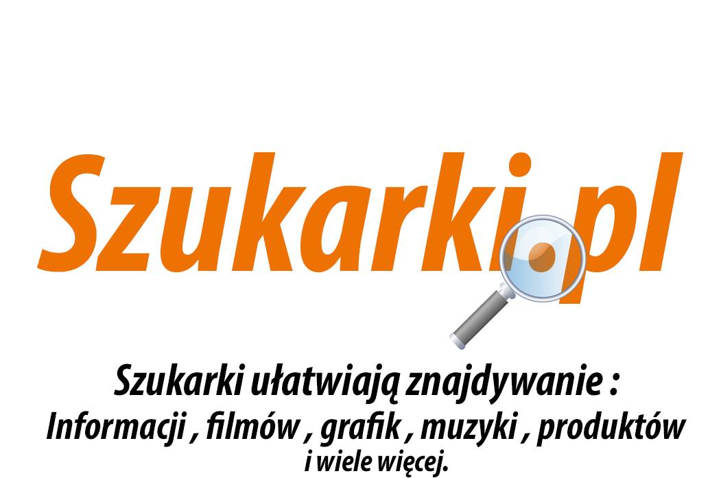 Najpopularniejsze wyszukiwarki, wyszukiwarka